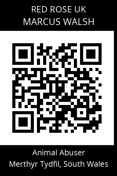 QR code for marcus-walsh