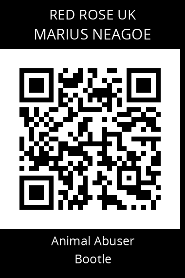 QR code for marius-neagoe