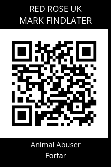 QR code for mark-findlater
