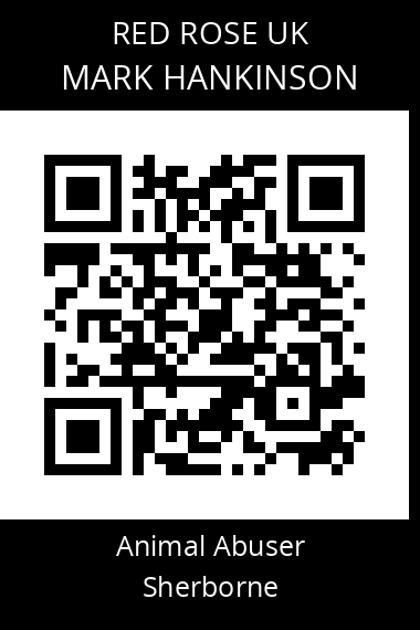 QR code for mark-hankinson