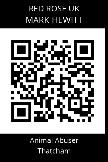 QR code for mark-hewitt