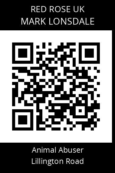 QR code for mark-lonsdale