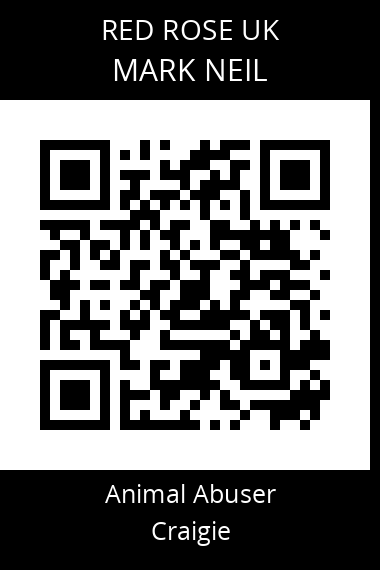 QR code for mark-neil
