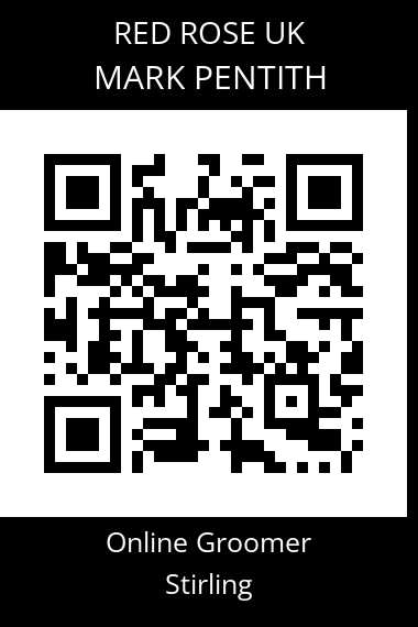 QR code for mark-pentith-1