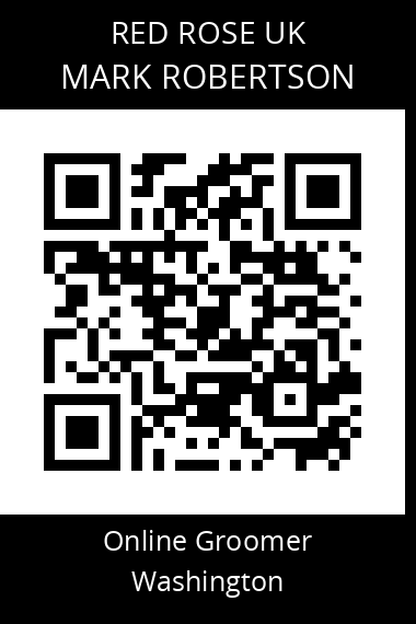 QR code for mark-robertson-4