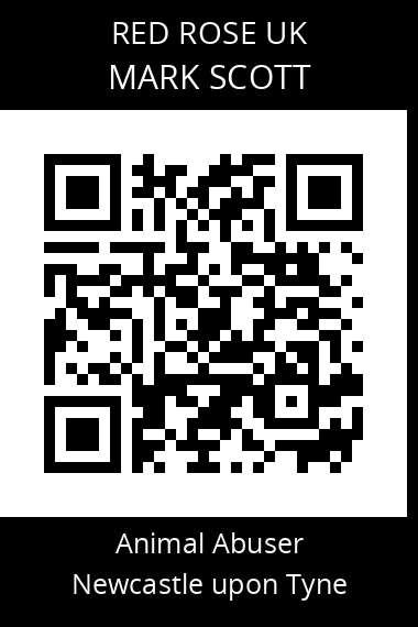 QR code for mark-scott-1