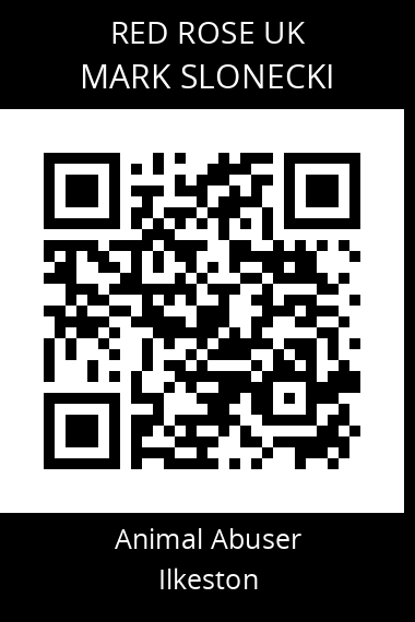 QR code for mark-slonecki