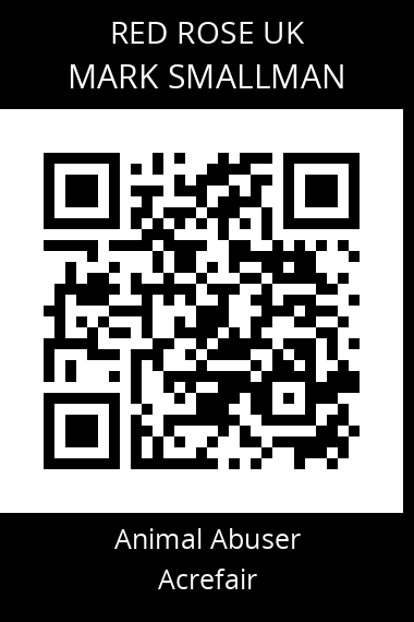 QR code for mark-smallman