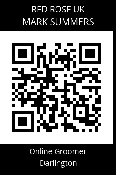 QR code for mark-summers