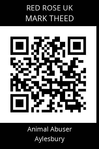 QR code for mark-theed