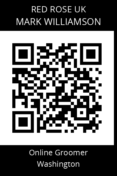 QR code for mark-williamson-3