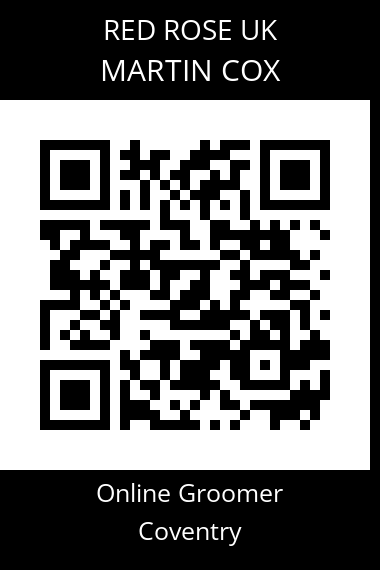 QR code for martin-cox-2