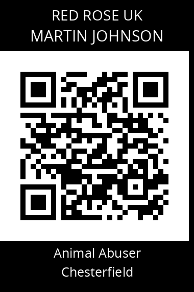 QR code for martin-johnson-3