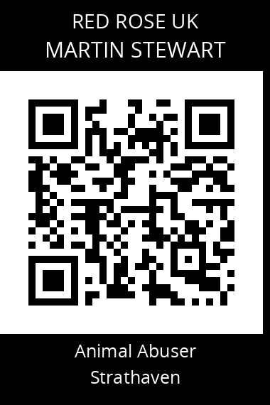 QR code for martin-stewart