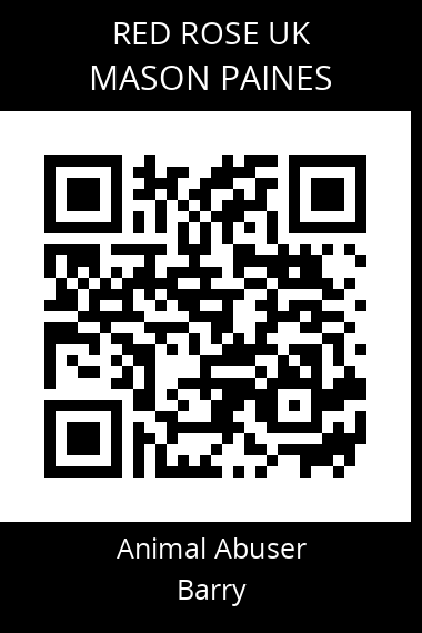 QR code for mason-paines