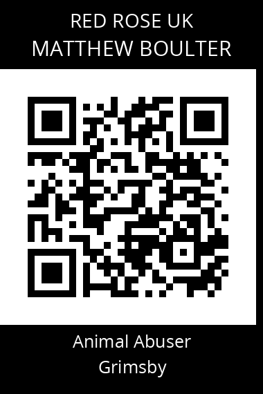 QR code for matthew-boulter