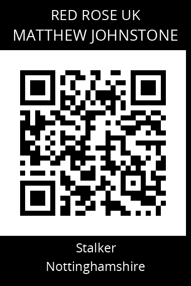 QR code for matthew-johnstone