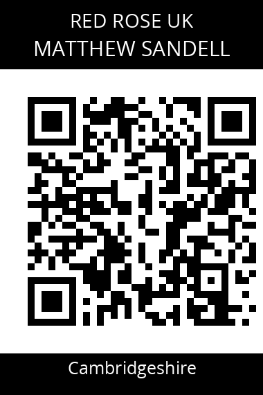QR code for matthew-sandell-6uwvfq