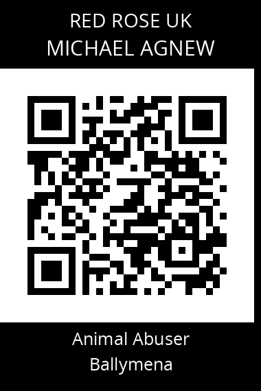 QR code for michael-agnew