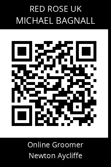 QR code for michael-bagnall-1