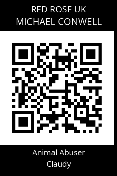 QR code for michael-conwell