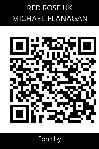 QR code for michael-flanagan-2