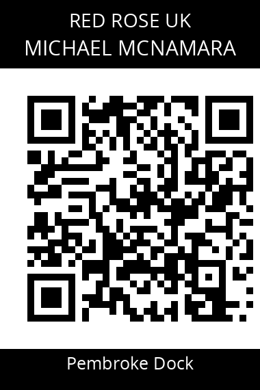 QR code for michael-mcnamara-1