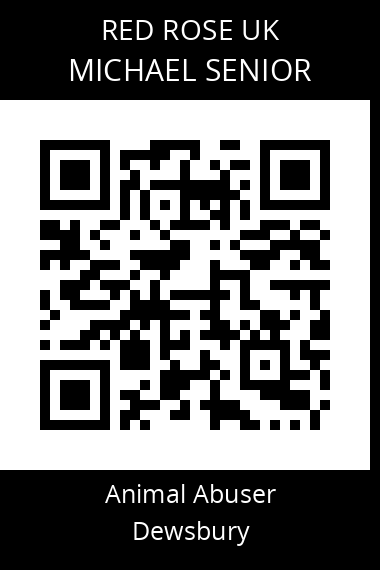 QR code for michael-senior-1