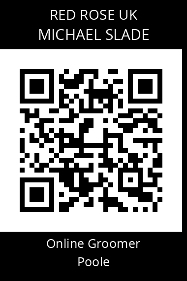 QR code for michael-slade