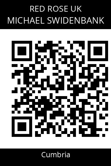 QR code for michael-swidenbank