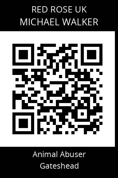 QR code for michael-walker-1