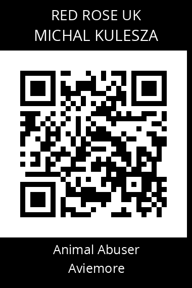 QR code for michal-kulesza