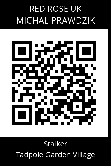 QR code for michal-prawdzik
