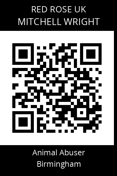 QR code for mitchell-wright