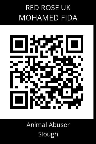 QR code for mohamed-fida