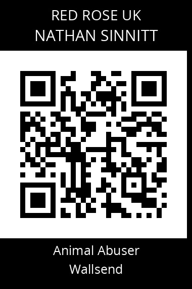 QR code for nathan-sinnitt