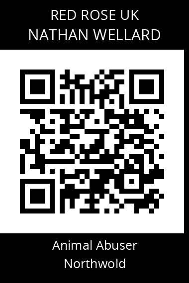 QR code for nathan-wellard