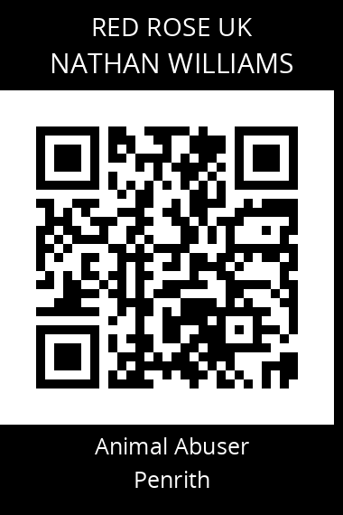 QR code for nathan-williams