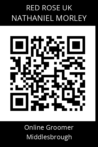 QR code for nathaniel-morley