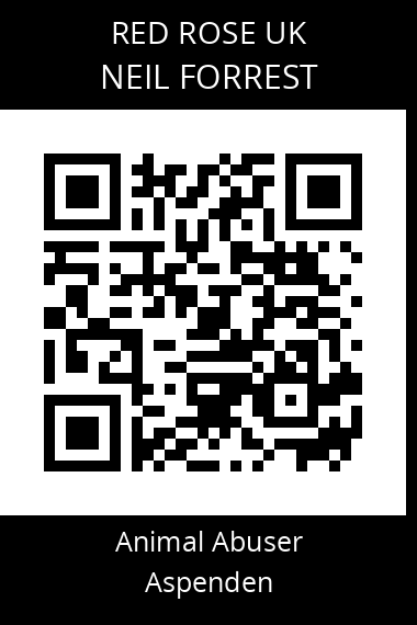 QR code for neil-forrest