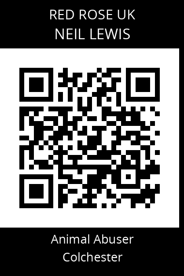 QR code for neil-lewis