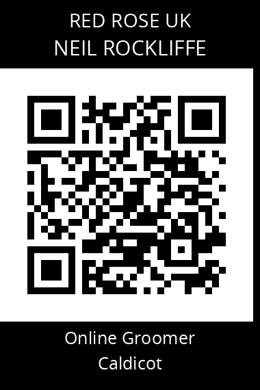 QR code for neil-rockliffe
