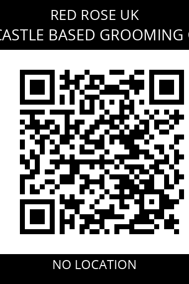 QR code for newcastle-based-grooming-gang