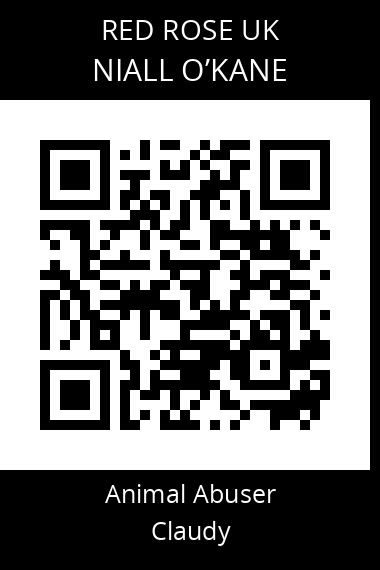 QR code for niall-okane