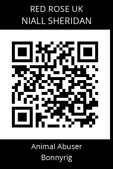 QR code for niall-sheridan