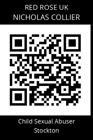 QR code for nicholas-collier
