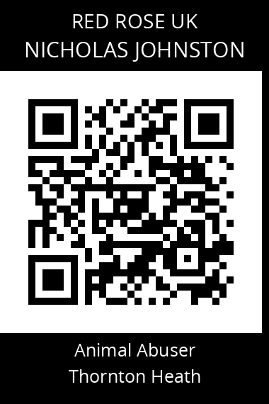 QR code for nicholas-johnston