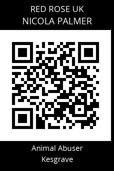 QR code for nicola-palmer