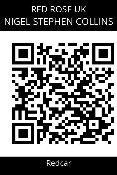 QR code for nigel-stephen-collins