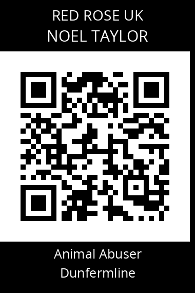 QR code for noel-taylor